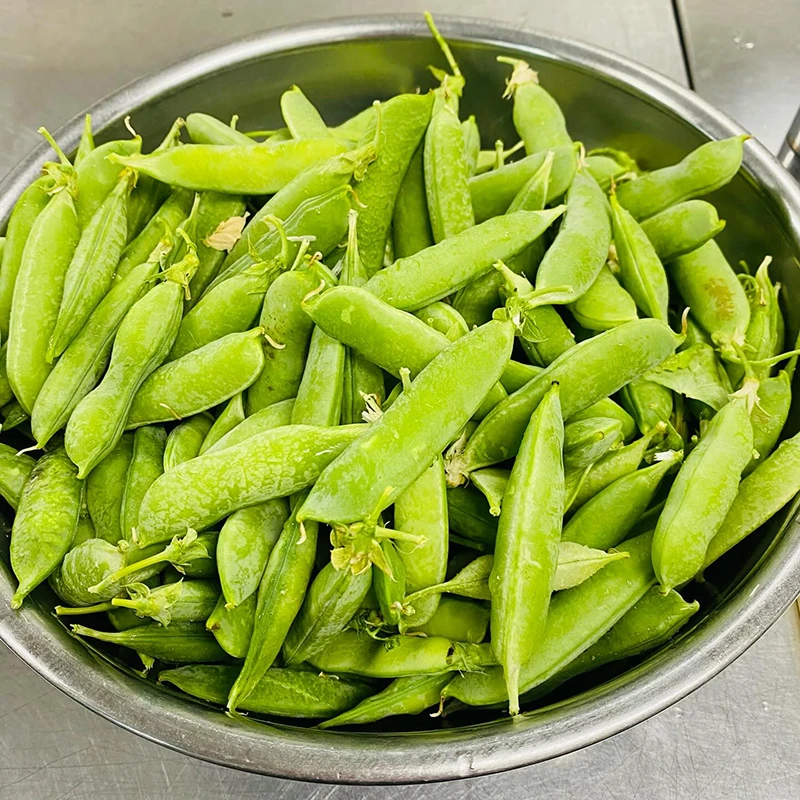 神田保育園キッチンだより👩🏻‍🍳豆ごはん